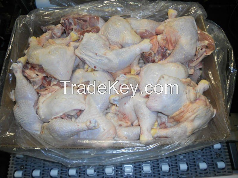 whole halal chicken, chicken paws, chicken wings, chicken quarters, chicken feets, fresh chicken eggs