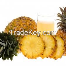 NATURAL PEACH JUICE CONCENTRATE,MANGO JUICE, PINEAPPLE JUICE, GRAPE FRUIT JUICE CONCENTRATE