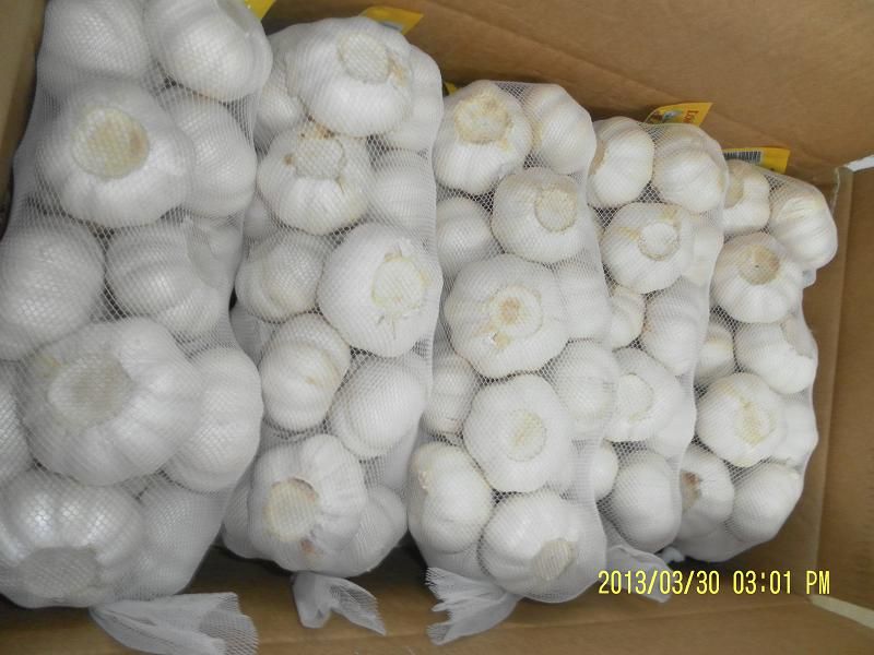 2013 new normal white garlic