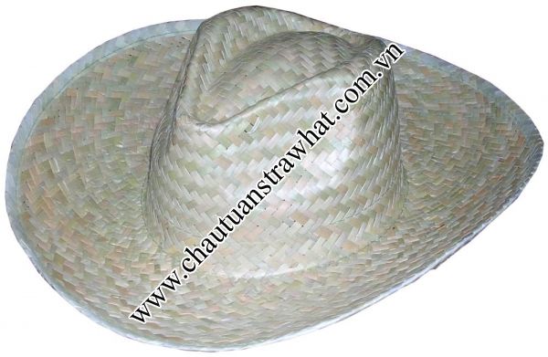 Fashion straw hat