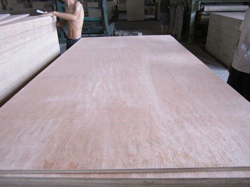 Bintangor plywood China manufacturer plywood construction material building material wood timber malaysia