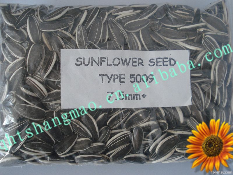 pumpkin seeds sunflower seeds