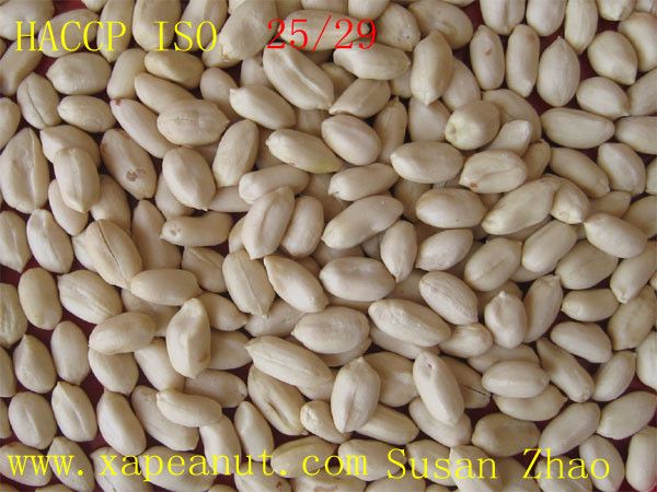 blanched peanut kernels 25/29