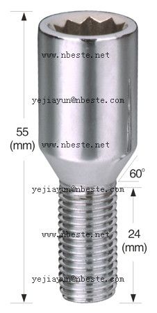 wheel bolts, lock bolts 41807T