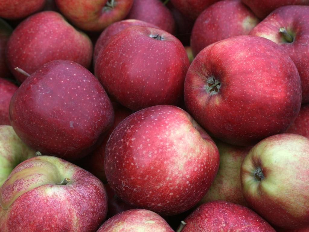 Fresh Apple / Jonagold Apple