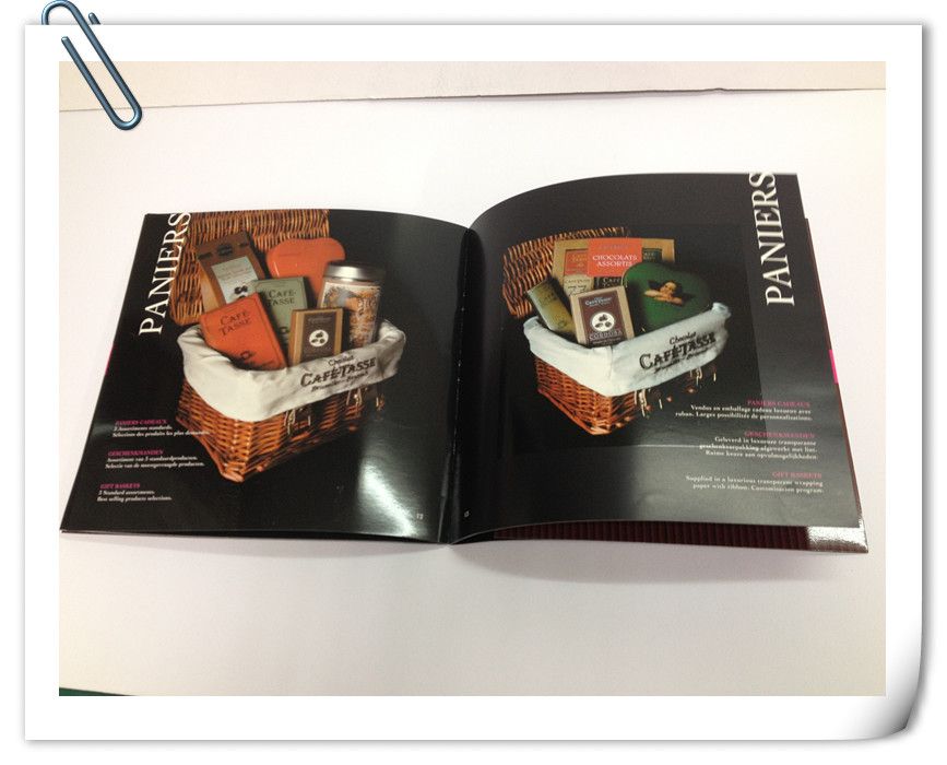 Fast delivery Brochure Printing