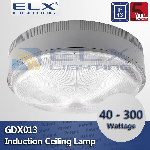 Induction Ceiling Lamp
