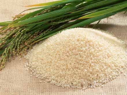 Egyptian Rice (camolino)