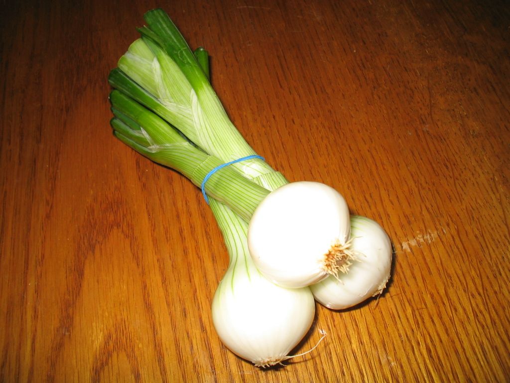 Spring/Leek Onion