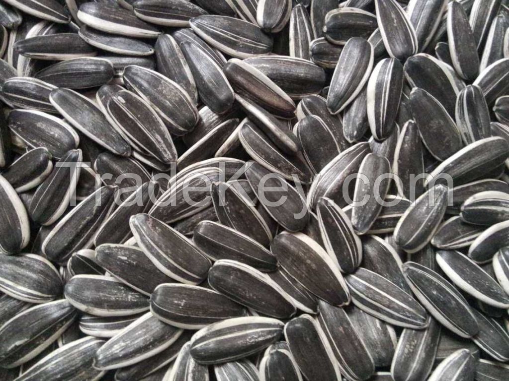 chinese sunflower seeds