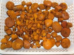 Cow Gallstones