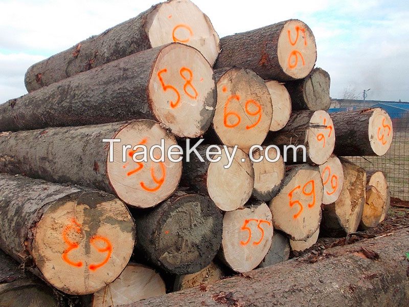  Pine/Beech Round/Spruce Round/ Ash and Oak Logs