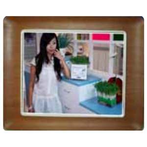 digital photo frame (DPF10W002)