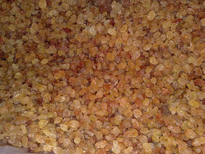 DRIED SULTANA RAISIN 