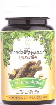 Tinospora Crispa Herb Capsule