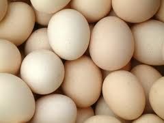 Fertile Chicken Eggs | Farm Fresh Table White Eggs | Brown Table Eggs