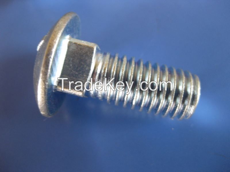 Electric galvanized Carriage Bolt 4.8 Grade/ Zinc coated round head square neck Bolt