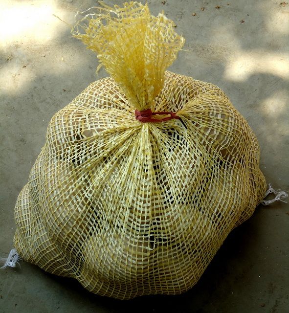 FRESH POTATO (GRANULA ROUND SHAPE)