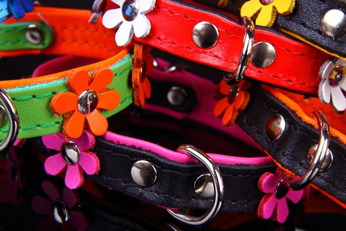 Leather Dog Collar decorated with flowers