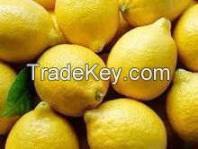 Fresh Eureka Lemons