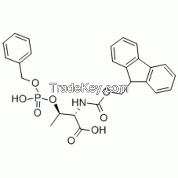 N Terminal Modification Peptides