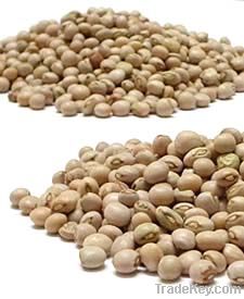 pigeon peas