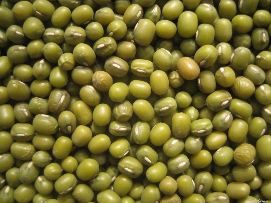 GREEN MUNG BEAN