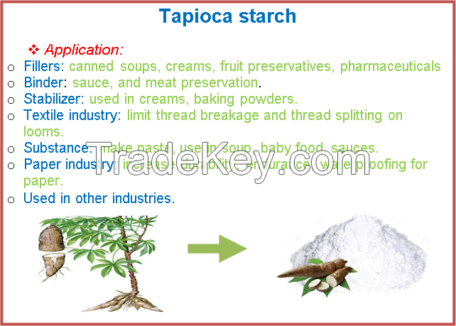 Tapioca Starch