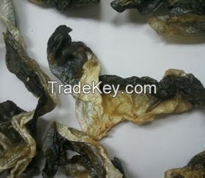 Dried fish skin