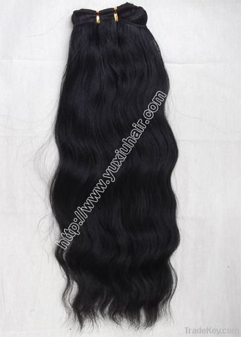 Human Hair9489