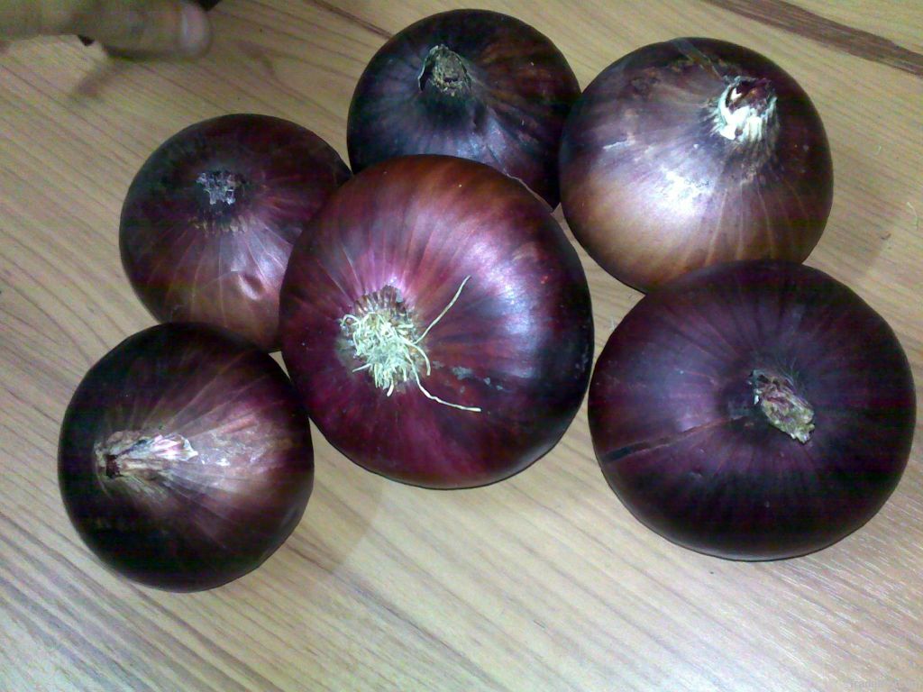 Onion ( Yellow - red - white )