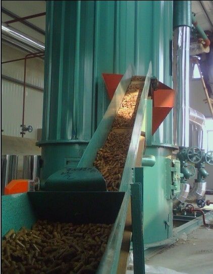 biomass fired thermal oil heater