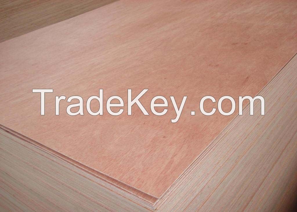 Bintangor plywood for packing and furniture