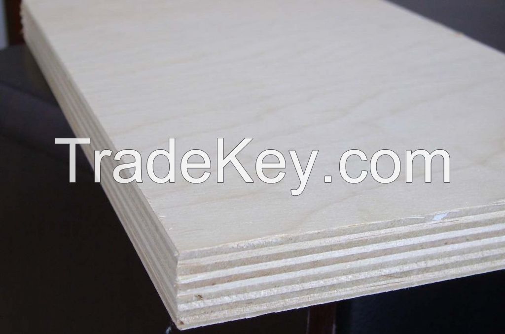 E0, E1 glue FSC birch furniture plywood manufacturer export to USA, Canada