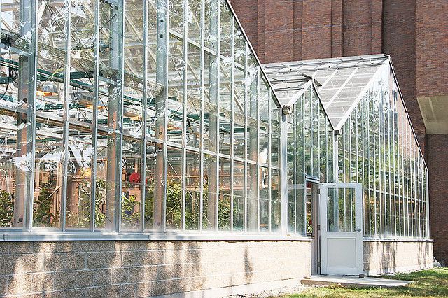 Glass Greenhouse