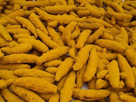 Turmeric Finger