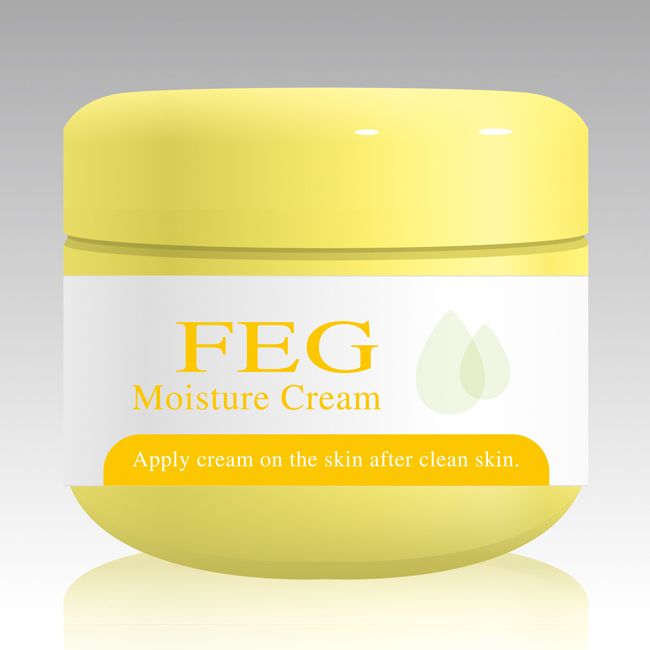 2013 Newest FEG Moisturizer Day cream 50g Hot selling