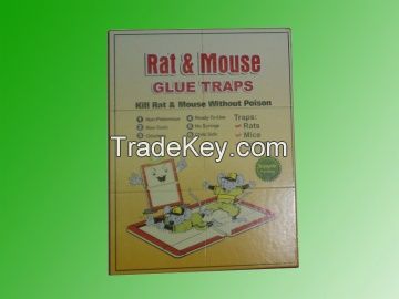 Mouse Glue Board 