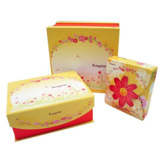 Paper Boxes and Bags (Yv09-Box-C1/C2/C3/C4)