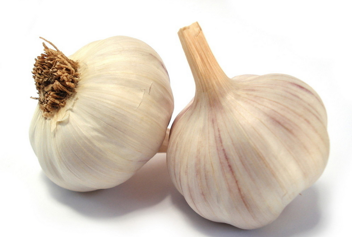 Garlic