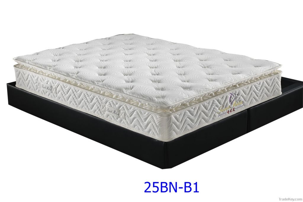 europe box coir mattress (25BN-B1)