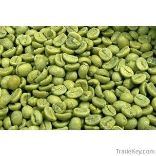 Green coffee bean extract 50% Chlorogenic acid sources by HPLC