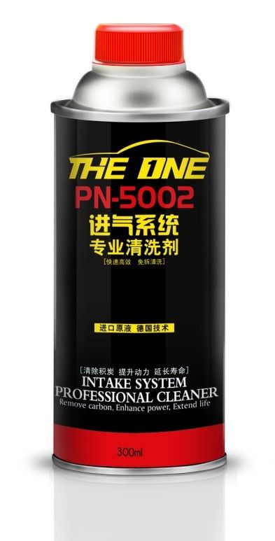 Intake System Professional Cleaner