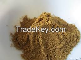 cumin seeds powder