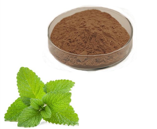 Lemon Balm Extract/Melissa officinalis Extract 5:1, 10:1