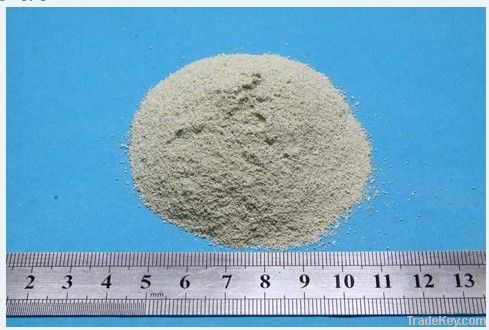 ferrous sulfate monohydrate