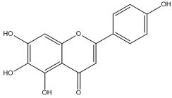 Scutellarein Powder