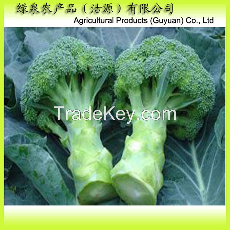 Fresh broccoli