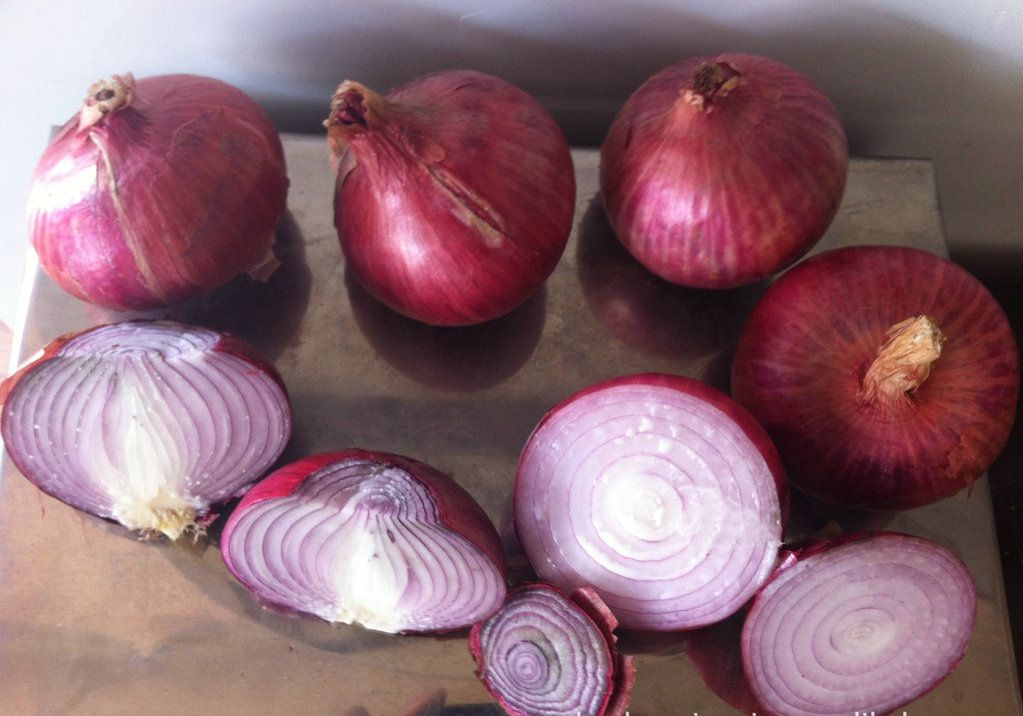 ONION(RED)