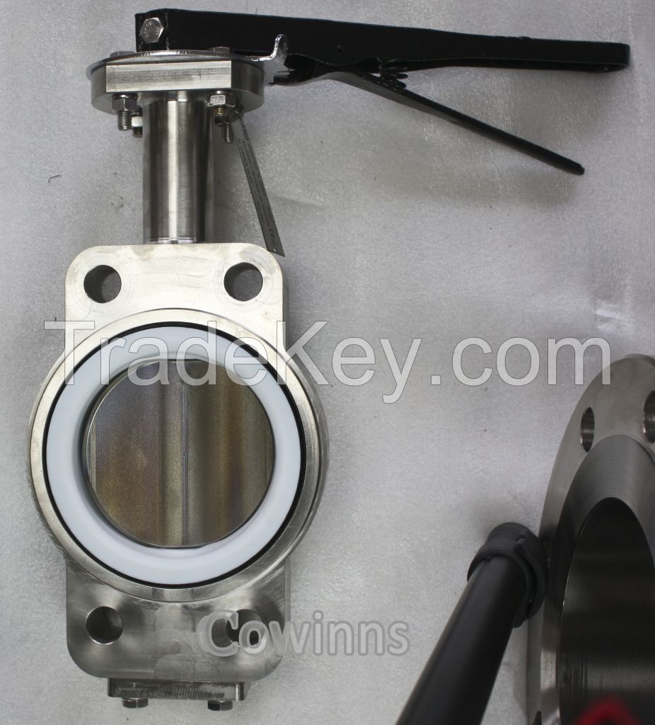 Titanium butterfly valve